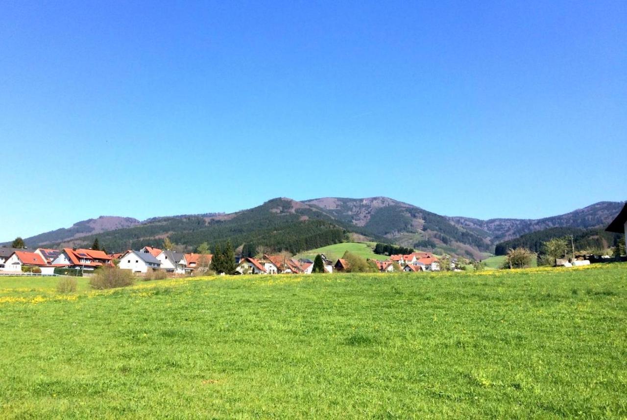 Gemuetliches Haus Im Herzen Des Schwarzwaldes Fuer Bis Zu 9 Personen 埃尔察赫 外观 照片