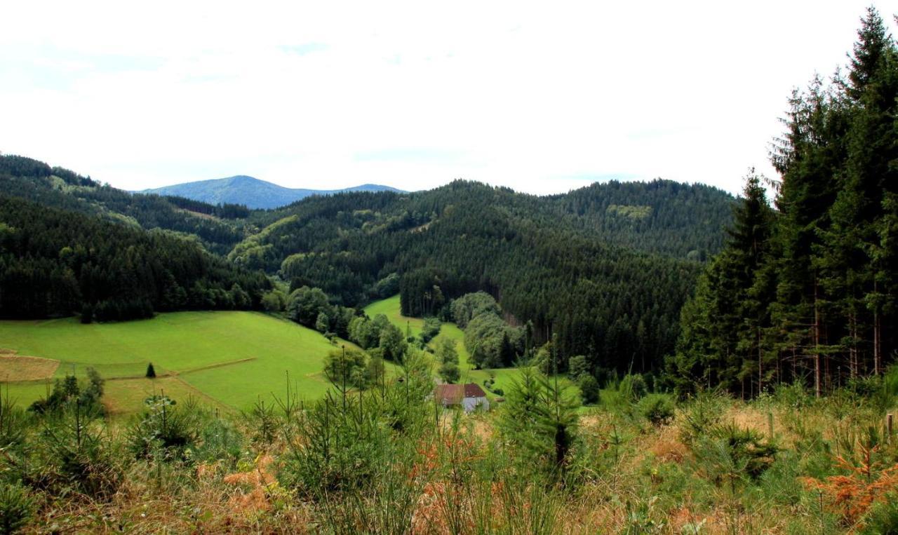 Gemuetliches Haus Im Herzen Des Schwarzwaldes Fuer Bis Zu 9 Personen 埃尔察赫 外观 照片