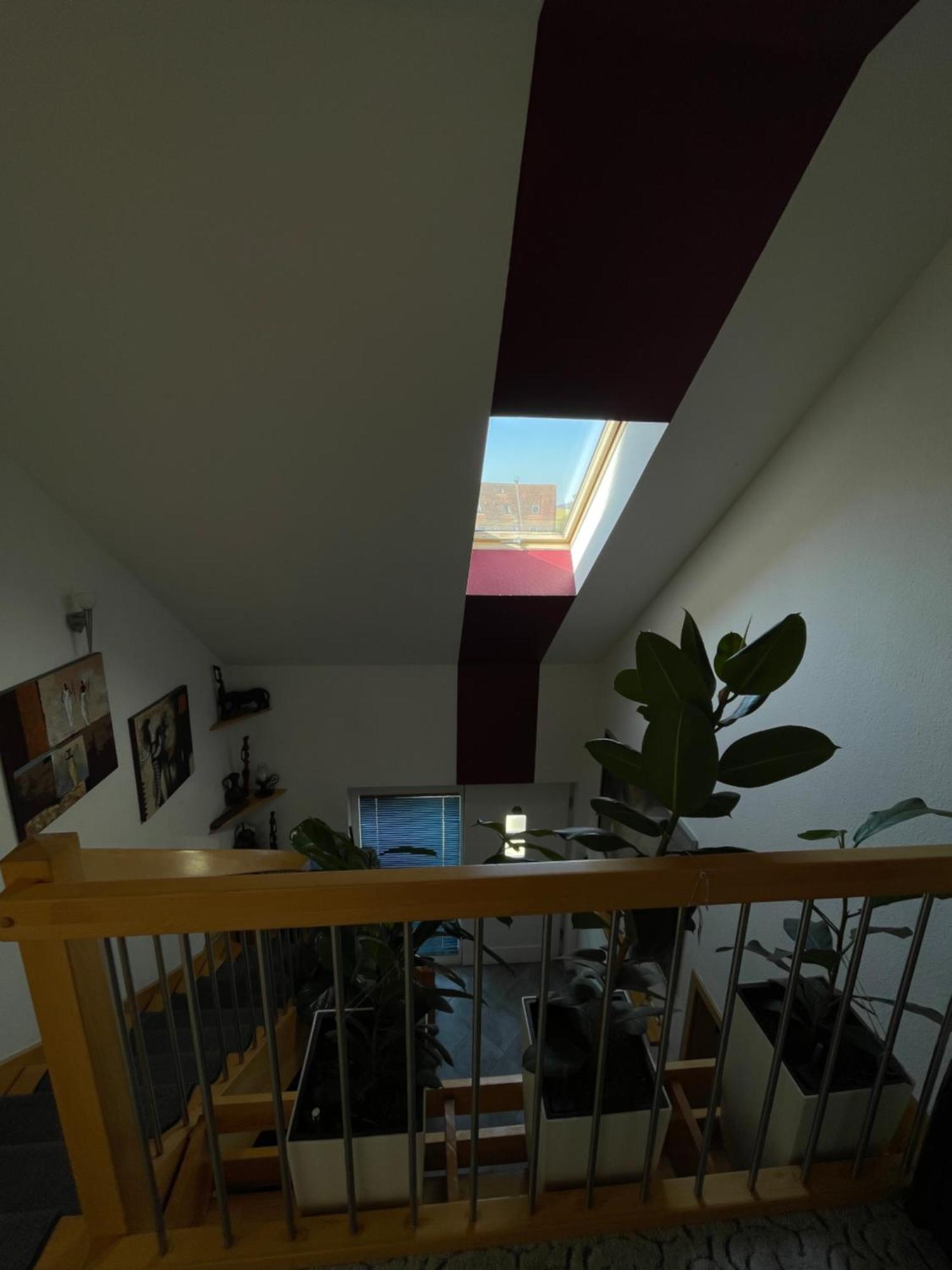 Gemuetliches Haus Im Herzen Des Schwarzwaldes Fuer Bis Zu 9 Personen 埃尔察赫 外观 照片